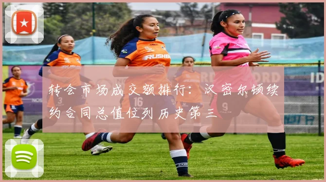 转会市场成交额排行：汉密尔顿续约合同总值位列历史第三